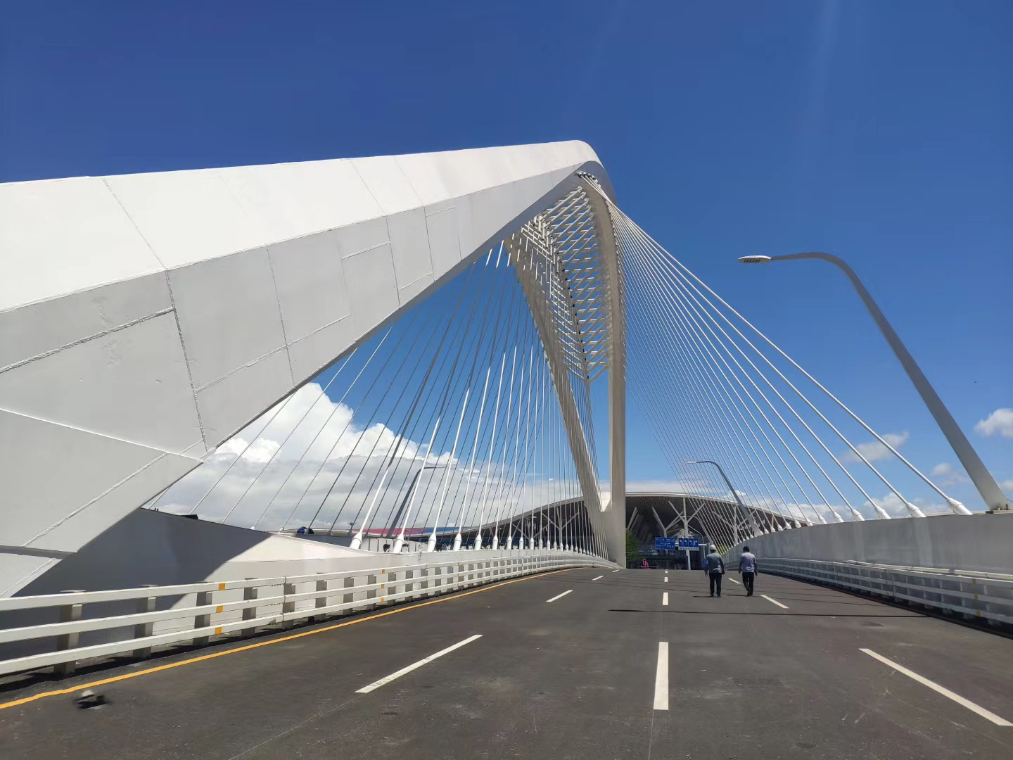 深圳會(huì)展大道三號橋